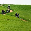 옛소농장 이미지