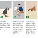 펫마루 이미지