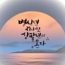 용보쌈 - 파주시 금빛로 44 | 용보쌈
