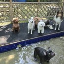 니멍내멍 이미지