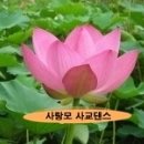 [♥사랑모/리듬댄스] 통합리듬짝과 새로운 리듬댄스를 보며... 이미지