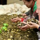 동전마을회관 이미지