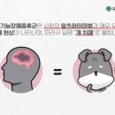 문정힐스 동물병원 이미지