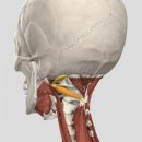 리메디PT 이미지