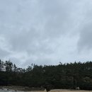 꾸지나무골해수욕장 이미지