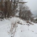 소백산자락길캠핑장 네이버블로그