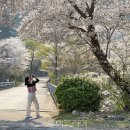 달방수변공원 이미지