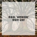 대구 시원한방병원 이미지