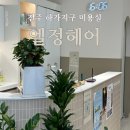 전주 하가지구 미용실 추천 :: [엘정 헤어] 염색 후기