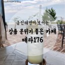 테라176 이미지