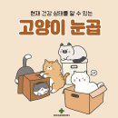 눈이튼튼 동물병원 네이버블로그