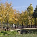 은행나무길 화장실 이미지