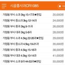 시골홍사과