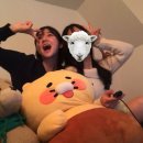 몽몽하지 이미지