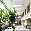 수내튼튼약국 이미지