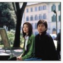 The Whole Nine Yards(영화 냉정과 열정사이 OST) 이미지