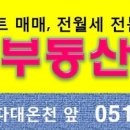 다송공인중개사사무소 네이버블로그