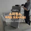부산경남청소 | 아직도 모르시나요? 부산/경남 소파청소후기