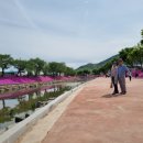 양지천3 이미지