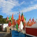 옥포항(조라) 이미지