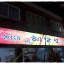 해안선장어