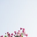 여행일일사주