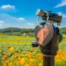 연천 호로고루 이미지