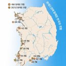 세계에서 가장 찰진 진흙 K 갯벌! 이미지