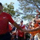 타이거골프클럽 이미지