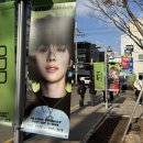 팝스토어(강화점) | 보스 올데이프로젝트 성수 팝업 방문, BOSE QC 울트라 헤드폰 2세대 후기