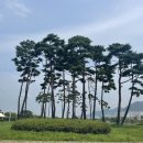 가산공원 풋살장 이미지