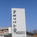 갈매기 나는꿈 펜션 이미지