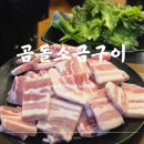 곰돌소금구이
