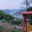 산과 들의 약용식물 이미지