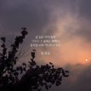 광호 Daum카페