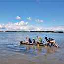 (주)코로아 이미지