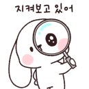 배재중학교 이미지