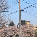 제제네일(JEJENAIL)