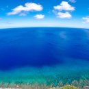 죽음도 갈라놓지 못한 사랑 이미지