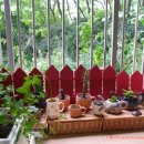 미니정원 이미지