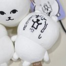 돈곰 | 타오바오에서 오열하는 농담곰 직구한 후기(직장인 셋로그 필수템)
