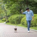 연희봉투 이미지