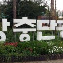동네족발 - 부천시 원미구 계남로 292 | 동네족발