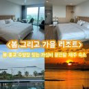 클리어당구장 | [성산] 제주 동쪽 A동 4층 ‘봄 그리고 가을 리조트’ 최고 강추 내돈내산 후기