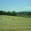 환영목장 이미지