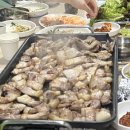 지리산흑돈 이미지