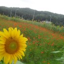 화령초등학교 이미지