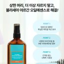 오일세
