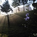 빛을 만나다 이미지