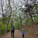 칠갑산파크 | 블랙야크 명산100 칠갑산 아이랑 등산코스로 추천